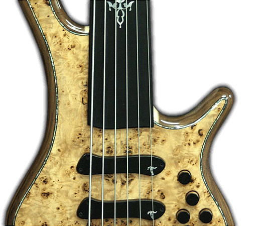 basses-signature_bass_guitar_VI_28.png